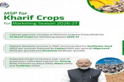 DOF Urea Punjab