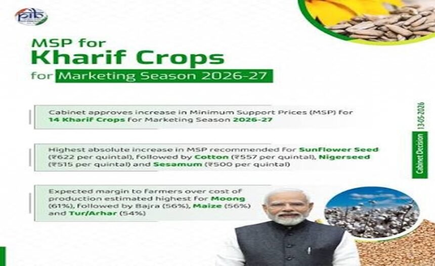 DOF Urea Punjab