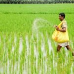 Fertilizer Availability Kharif 2026