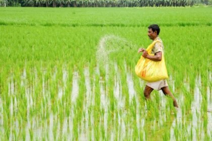 Fertilizer Availability Kharif 2026