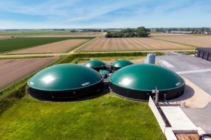 Biogas Energy Security