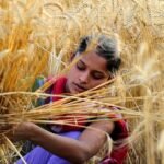Agricultural Marketing