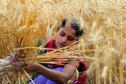 Agricultural Marketing