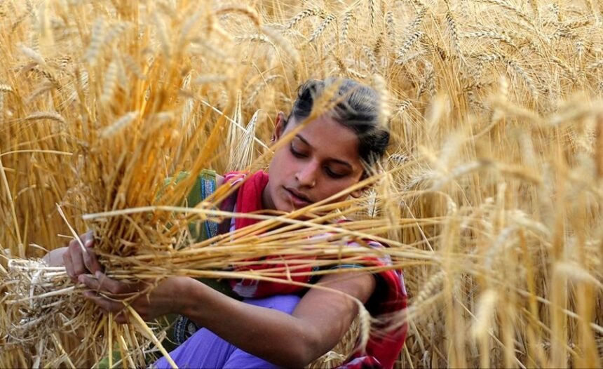 Agricultural Marketing