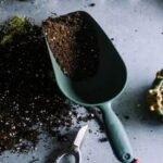 Fertilizer Policy