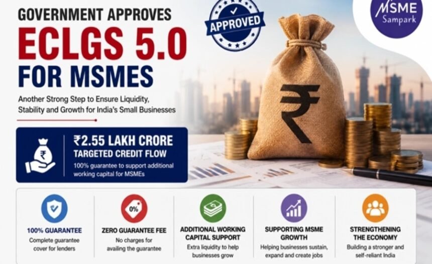 SIDBI expansion and ECLGS 5.0