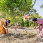 Green Credit Programme