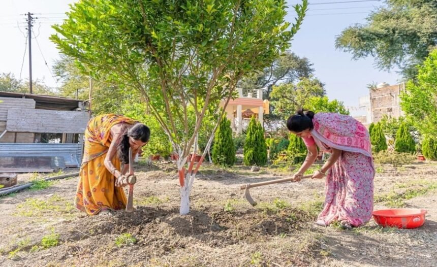Green Credit Programme