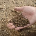 Soil Degradation