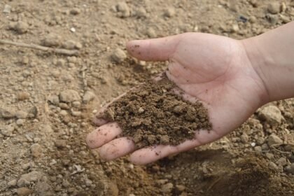 Soil Degradation
