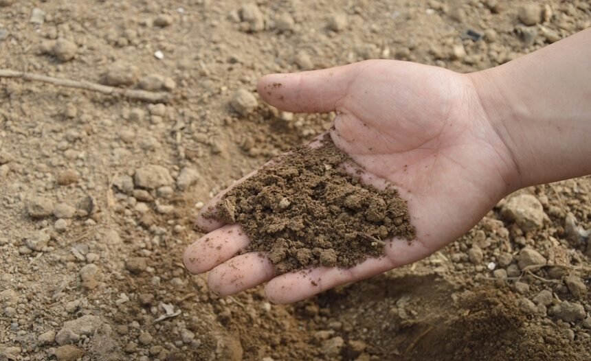 Soil Degradation